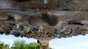 Filename=20150702_144208_2.jpg
Filesize=358KiB
Dimensions=1778x1000
Date added=Jul 02, 2015 20150702_144208_2.jpg