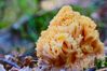 Filename=DSC06587-new.jpg
Filesize=422KiB
Dimensions=1200x800
Date added=Oct 26, 2014 DSC06587-new.jpg