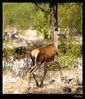 Nombre del archivo=IMG_0041.jpg
Tamaño del archivo=334Kb
Dimensiones=850x993
Fecha añadida=04 de Noviembre de 10 IMG_0041.jpg