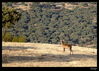 Nombre del archivo=IMG_0121.jpg
Tamaño del archivo=385Kb
Dimensiones=1226x875
Fecha añadida=04 de Noviembre de 10 IMG_0121.jpg
