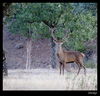 Nombre del archivo=IMG_0132.jpg
Tamaño del archivo=334Kb
Dimensiones=910x875
Fecha añadida=04 de Noviembre de 10 IMG_0132.jpg