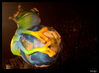 Filename=IMG_5748.jpg
Filesize=201KiB
Dimensions=1186x875
Date added=Jan 06, 2011 IMG_5748.jpg
