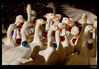 Filename=IMG_5761.jpg
Filesize=292KiB
Dimensions=1251x875
Date added=Jan 06, 2011 IMG_5761.jpg