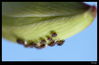 Nombre del archivo=IMG_9503.jpg
Tamaño del archivo=424Kb
Dimensiones=1336x875
Fecha añadida=25 de Noviembre de 10 IMG_9503.jpg