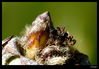 Nombre del archivo=_MG_5893.jpg
Tamaño del archivo=270Kb
Dimensiones=1251x875
Fecha añadida=16 de Enero de 11 _MG_5893.jpg
