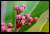 Nombre del archivo=_MG_5903.jpg
Tamaño del archivo=175Kb
Dimensiones=1251x875
Fecha añadida=16 de Enero de 11 _MG_5903.jpg