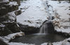 Filename=_MG_6326.jpg
Filesize=1074KiB
Dimensions=2000x1306
Date added=Apr 23, 2016 _MG_6326.jpg