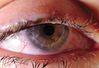 Nombre del archivo=_MG_6594~0.jpg
Tamaño del archivo=1232Kb
Dimensiones=2000x1369
Fecha añadida=24 de Mayo de 16 _MG_6594~0.jpg