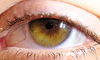 Nombre del archivo=_MG_6607~0.jpg
Tamaño del archivo=948Kb
Dimensiones=2000x1205
Fecha añadida=24 de Mayo de 16 _MG_6607~0.jpg