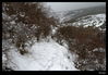 Filename=_MG_6659.jpg
Filesize=403KiB
Dimensions=1251x875
Date added=Mar 08, 2011 _MG_6659.jpg