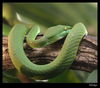 Nombre del archivo=_MG_8326.jpg
Tamaño del archivo=172Kb
Dimensiones=994x875
Fecha añadida=18 de Marzo de 11 _MG_8326.jpg