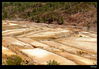 Nombre del archivo=_MG_9029.jpg
Tamaño del archivo=456Kb
Dimensiones=1251x875
Fecha añadida=03 de Noviembre de 10 _MG_9029.jpg