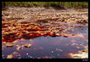 Nombre del archivo=_MG_9065.jpg
Tamaño del archivo=456Kb
Dimensiones=1251x875
Fecha añadida=03 de Noviembre de 10 _MG_9065.jpg