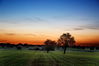 Filename=landscape11_by_paxo-d2wxqe3~0.jpg
Filesize=169KiB
Dimensions=1195x800
Date added=Jan 11, 2011 landscape11_by_paxo-d2wxqe3~0.jpg