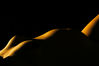 Filename=Contraluz.jpg
Filesize=797KiB
Dimensions=3272x2178
Date added=Nov 13, 2011 Contraluz.jpg
