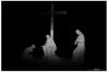 Filename=EOS-650_6136_01.jpg
Filesize=102KiB
Dimensions=1200x801
Date added=Jul 28, 2018 EOS-650_6136_01.jpg