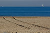 Filename=EOS_650-00114.jpg
Filesize=5578KiB
Dimensions=4401x2941
Date added=May 10, 2019 EOS_650-00114.jpg